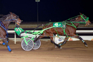 Lady Neigh Neigh, driven by Dave Kelly at Century Mile in last Sunday&#039;s feature race 