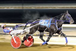 Sunshine Boy and Brandon Campbell winning the Western Canada Pacing Derby