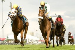 A blinkered Pender Harbour wins the Breeders&#039;...(Michael Burns Photography)