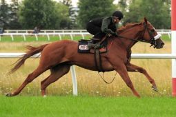 &#039;Pender&#039; &amp; Contreras enjoy morning training... (Michael Burns Photography)  
