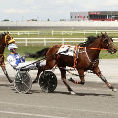 Salary leading at the wire at Century Downs