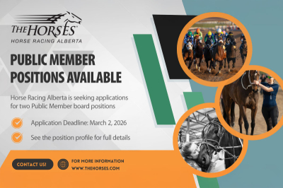 Public Board Member Vacancy (2)