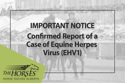 Important Notice: Confirmed Cases of EHV-1 in Alberta (Nov. 21)
