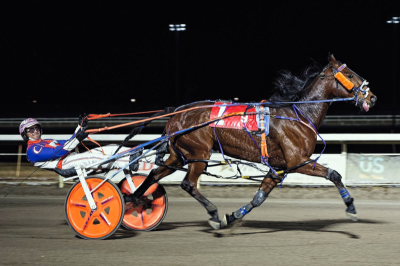 $90.80 to Win — Imashipwreck Blows Up the Board in Biggest Super Finals Upset Ever