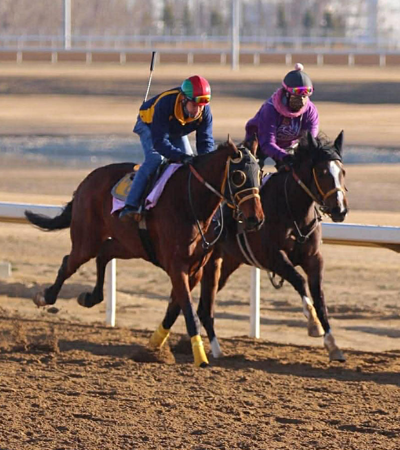 breezing with jockey Mauricio Malvaez 2021