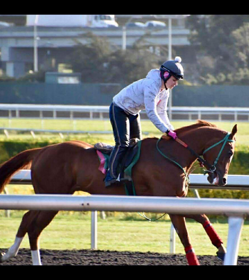Galloping Lucky Patrick at Golden Gate Fields for trainer William Delia 2017