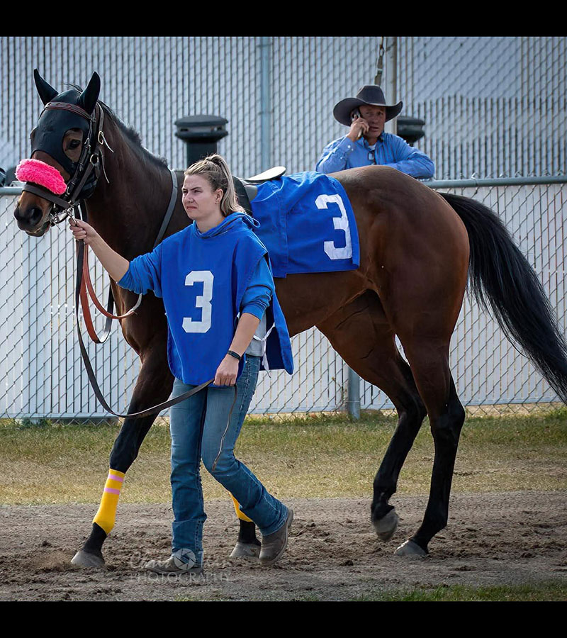 Paddocking Arany at Century Downs 2023