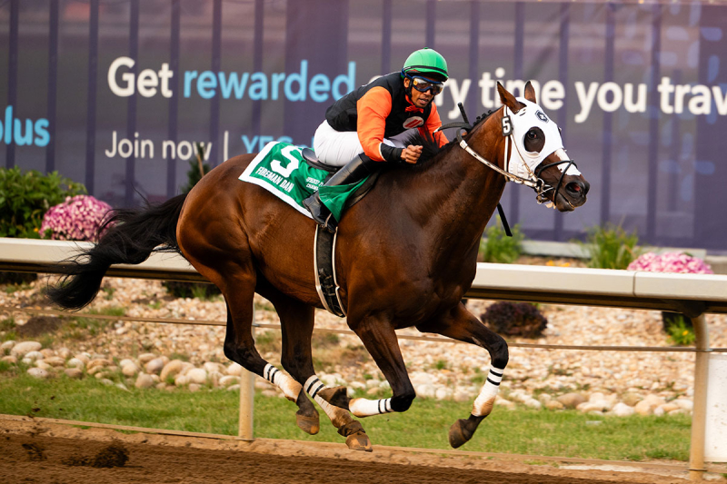 From Buyer’s Remorse to Stakes Glory for Fireman Dan
