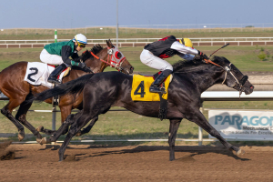 Big Bad Intaglio in the Alberta Sire Stakes Derby at Century Mile May 27, 2023