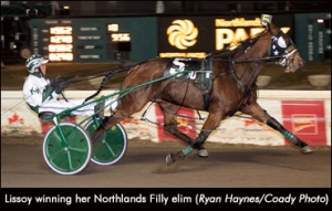 Lissoy winning her Northlands Filly Elimination