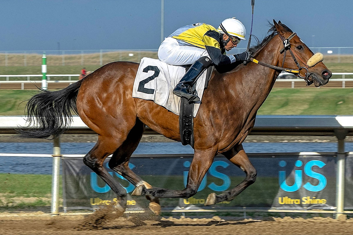 Brian Boodramsingh aboard Force To Rekn With in the 2024 $50,000 Sonoma Stakes