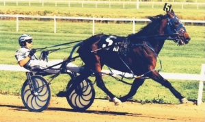 Let’s Meet Alberta Open Pacing Star “Who Doesnt”