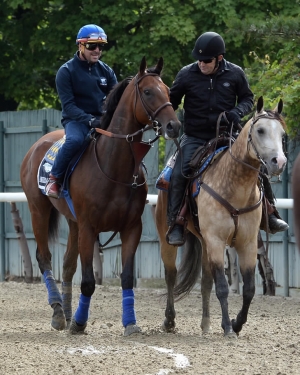 American Pharoh and pony Smokey head back to the barns after a jog around Belmont track earlier in the week