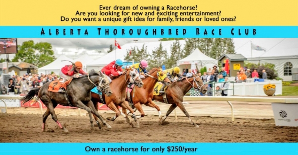 Alberta Thoroughbred Race Club - own a racehorse for $250/yr