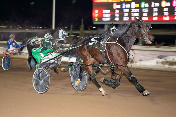 Make Some Waves, driven by Dave Kelly, paid almost 80-1 in the first Western Canada Pacing Derby Elimination race at Century Mile