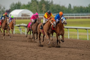 Expode (outside) and Journeyman in the stretch at Century Mile in the 90th Canadian Derby