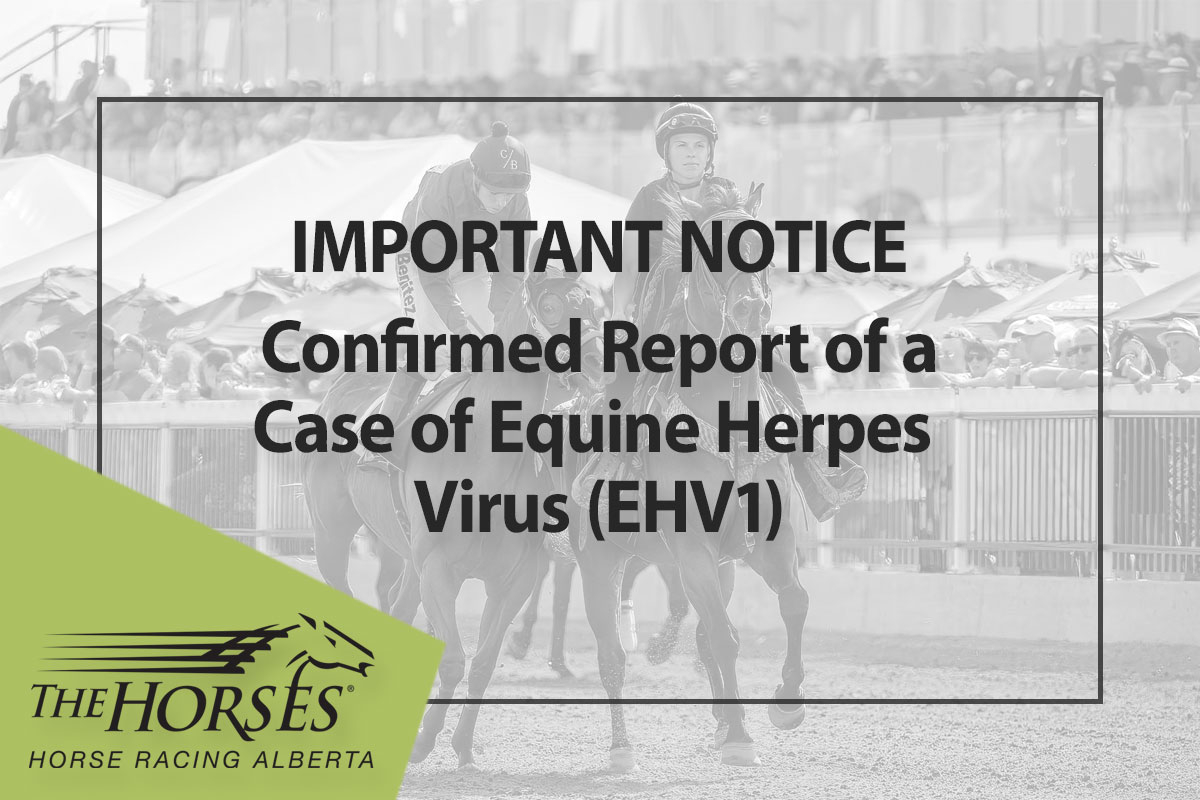 Important Notice: Confirmed Cases of EHV-1 in Alberta (Nov. 21)