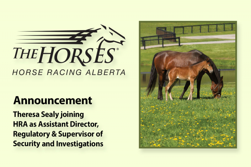 Announcement: Theresa Sealy joins Horse Racing Alberta