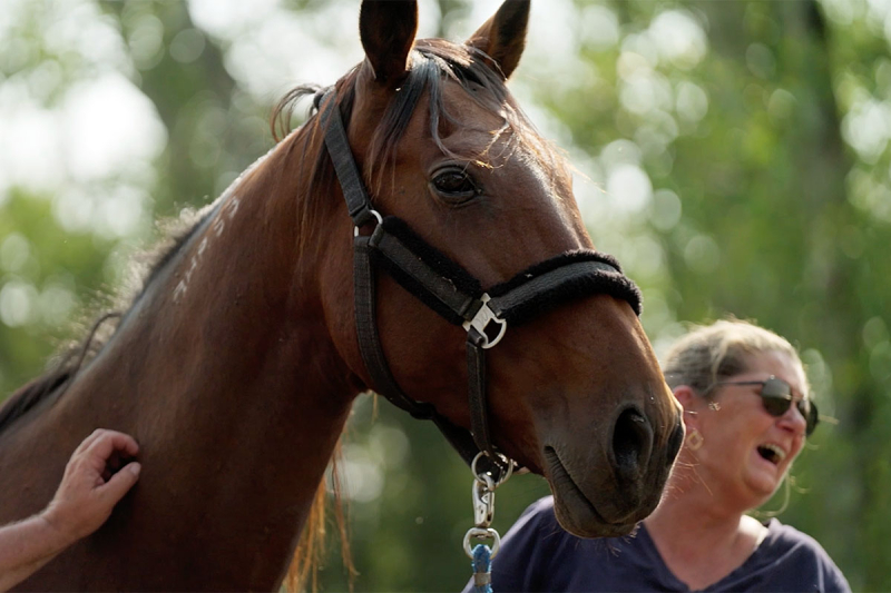 From Underdog to Top Broodmare (video)