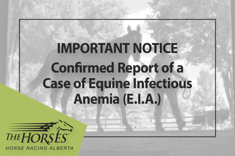 Important Notice: Confirmed Report of a Case of Equine Infectious Anemia (E.I.A.) (Oct. 25)