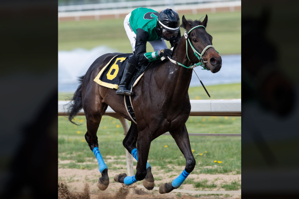 Above and Beyond at Century Mile with N&#039;Rico Prescod aboard