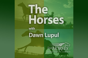 The Horses with Dawn Lupul Podcast - Episode #5