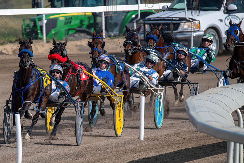 Wittup’s Dream Weekend: Custard Dolce and Momas Work of Art Chase Western Canada’s Biggest Titles