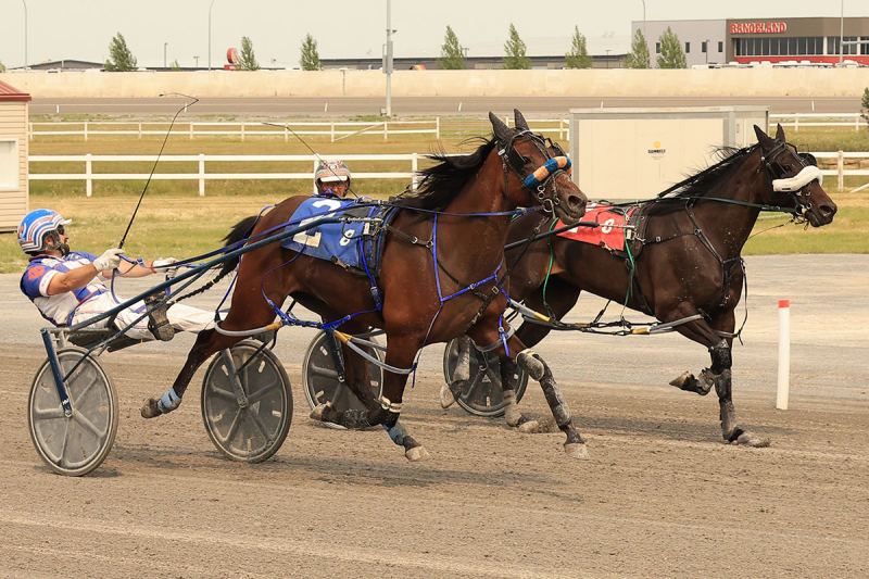 Two Horses, Two Gritty Performances, Two Stakes Triumphs