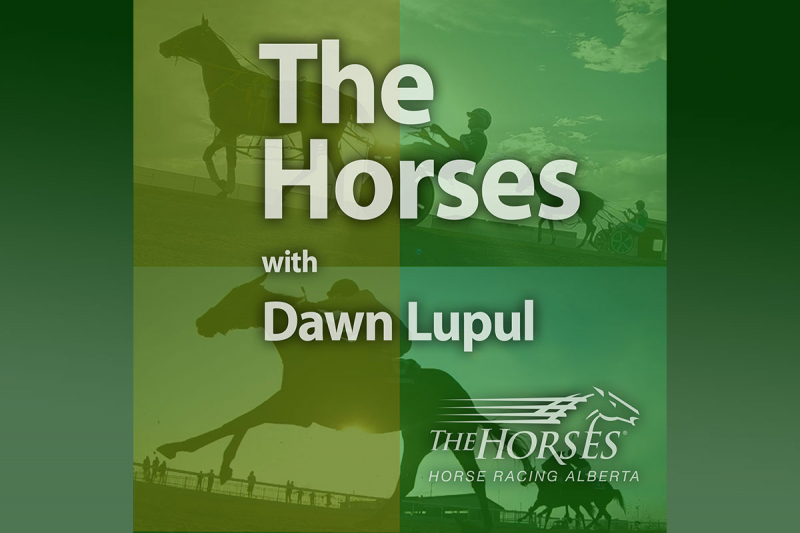 The Horses with Dawn Lupul Podcast - Episode #8