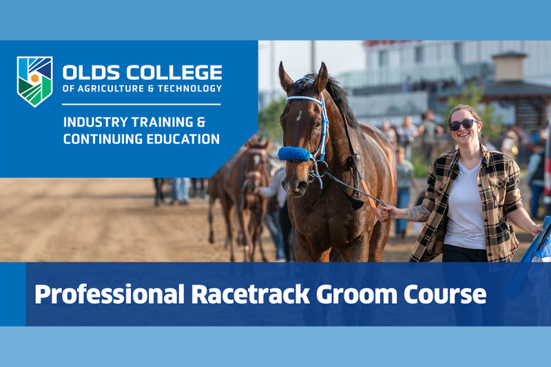 Professional Racetrack Groom Course - Olds College