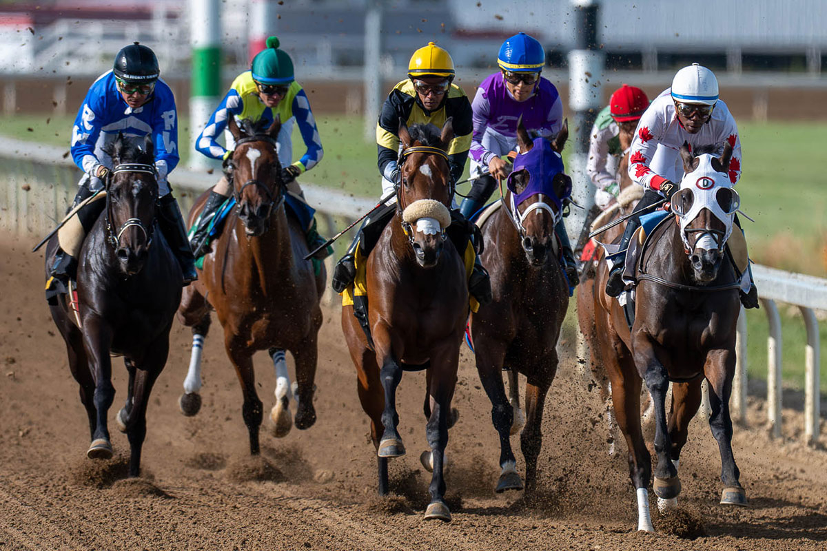 The Queen Is Back: Big Hug Dominates Founders Distaff at Century Downs