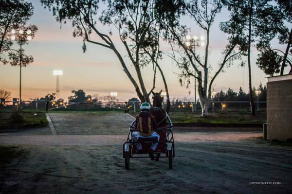 California Adventure