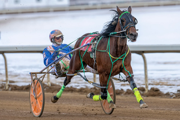 Phil Giesbrecht guiding Pure Addition to the win in the 4th on Saturday at Century Mile