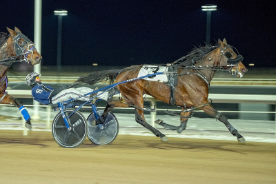 Divine Art heavily favoured for this weekend's Century Casino Filly Pace