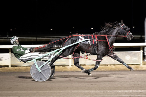 The Great Shark went wire to wire in the first division of the $25,000 Rocky Mountain Boys