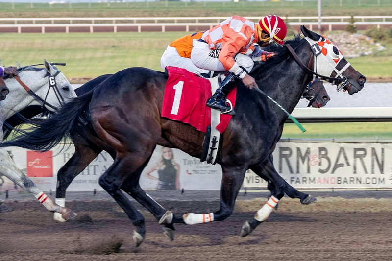 Rainbow’s Pride Turns $20,000 Claim Into Stakes Sensation