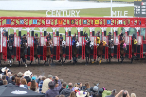 &quot;While other sports shut down, horse racing in Alberta exploded&quot;