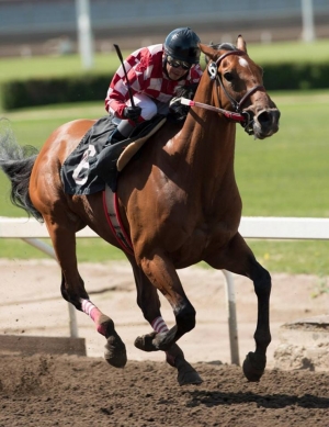 Commander with Jorge Espita up in the 50th Spangled Jimmy on June 29 at Northlands Park