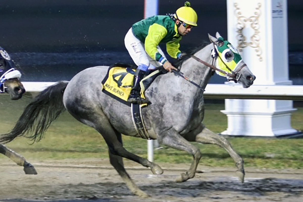 Wave Burner crossing the wire first in a muddy Canada Cup Futurity at Century Mile