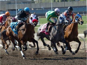 The start of the 60th annual Journal Handicap horse race at Northlands race track in Edmonton on May 18, 2015