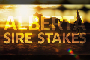 2026 Alberta Sire Stakes Super Finals Promo (video, 2026)