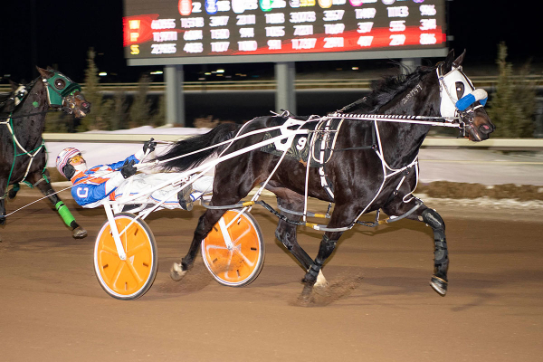 Major Custard, driven by Brandon Campbell, paid $3.30 to win in the Western Canada Pacing Derby at Century Mile
