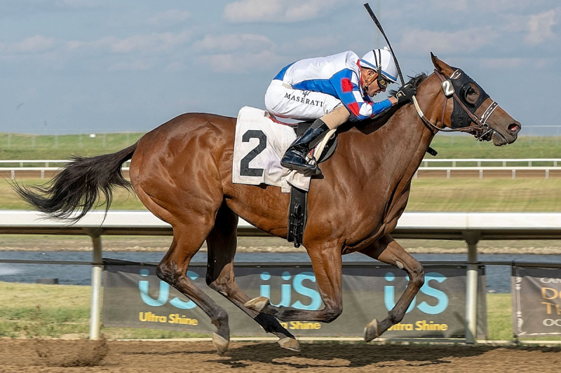 Gee I&#039;m Foxy and jockey Keihton Natera in the stretch of the Chariot Chaser