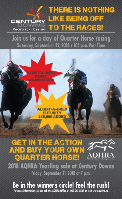 Quarter Horse Feature Day at Century Downs