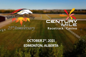 The 25th running of the Alberta Breeders&#039; Fall Classic - October 2, 2021 | Post time: 1:15 pm