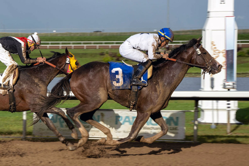 American Blaze besting Northern Jewel on July 1 at Century Mile