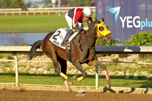 Queen Astrid Turns Pitchko’s Racing Fortunes Around