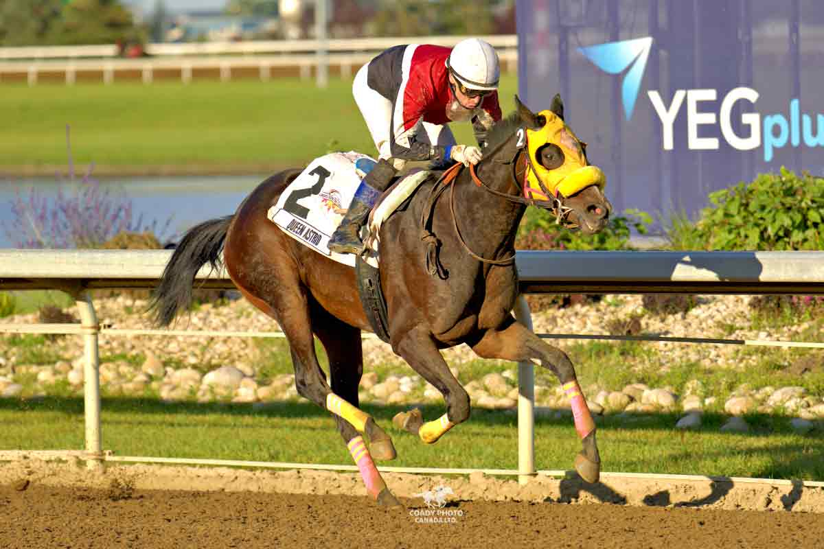 Queen Astrid Turns Pitchko’s Racing Fortunes Around