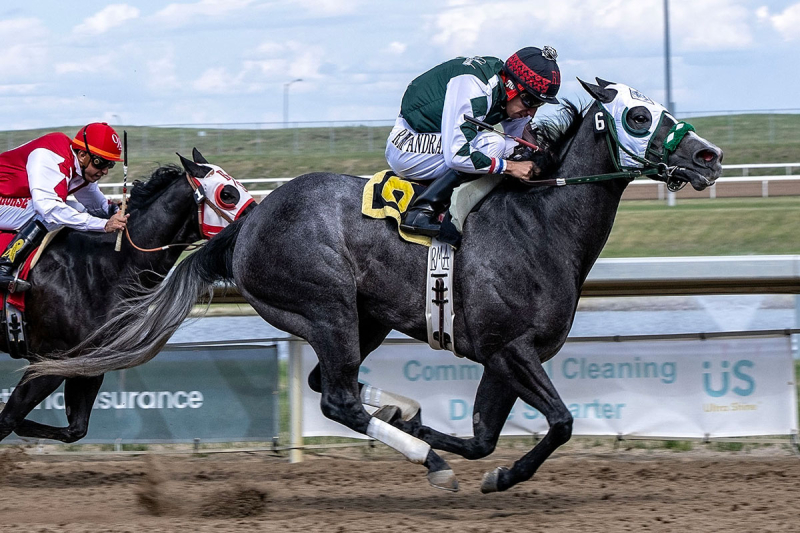 Century Mile Hosts AQHA Racing Challenge Finals on Road to Albuquerque