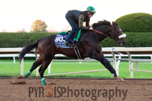 Bodenheimer working out at Keeneland